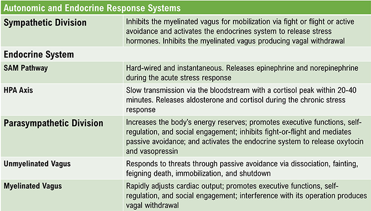 Autonomic and endocrine response systems